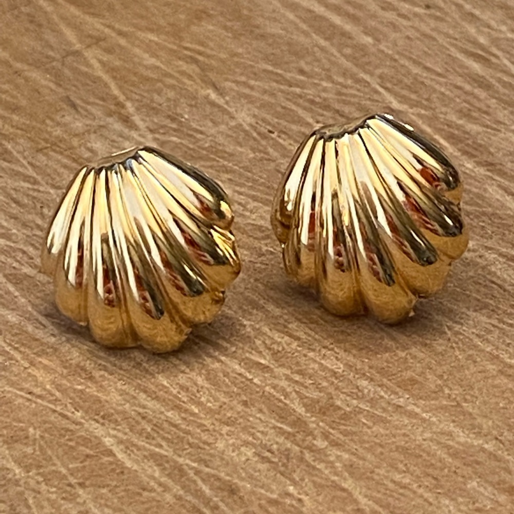 Gold 14k Shell Earrings